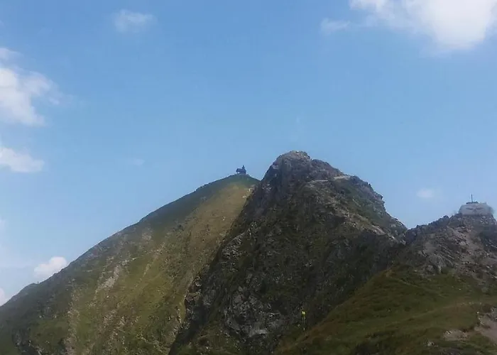 팜스테이 Gaestehaus Schwoagerhof